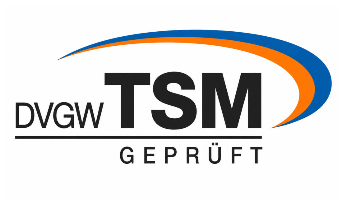 TSM1